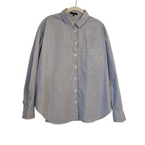 Quince 100% Organic Cotton Poplin Light Blue Stripe Long Sleeve Boyfriend Shirt